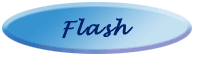 Flash Demonstration button
